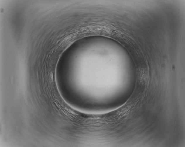X0000054361489200507291008