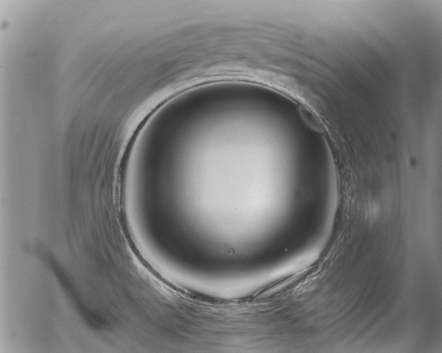 X0000054361527200507291008