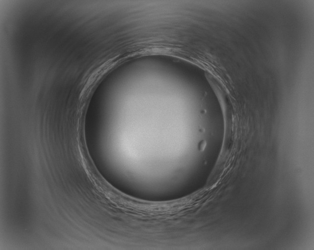 X0000054360001200508011233