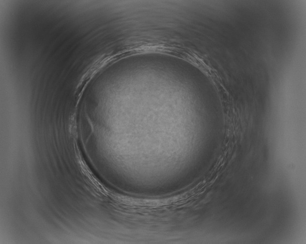 X0000054360002200508011233