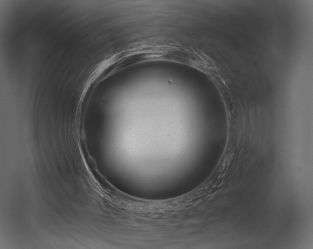 X0000054360003200508011233
