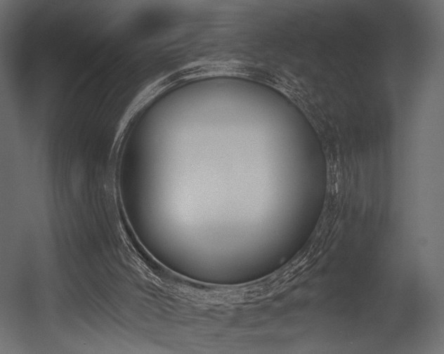 X0000054360004200508011233