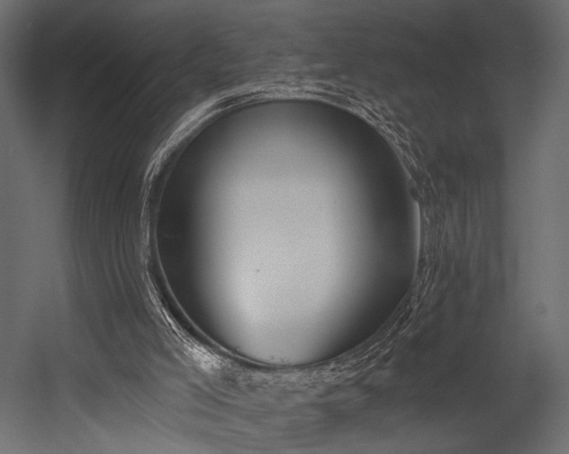 X0000054360005200508011233