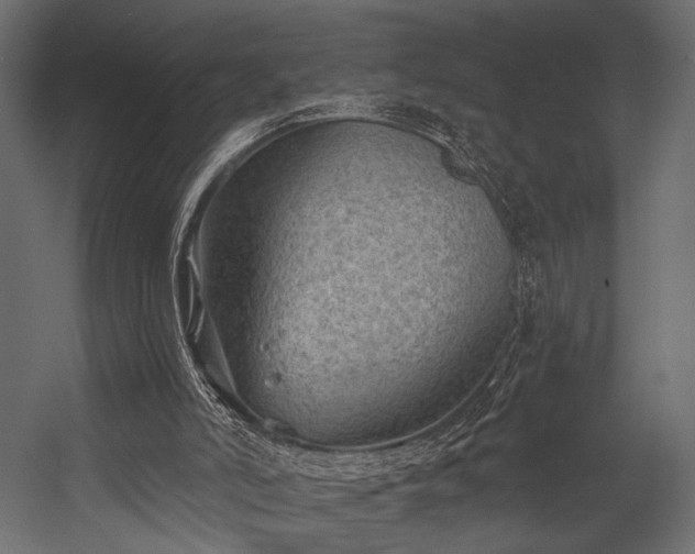 X0000054360006200508011232