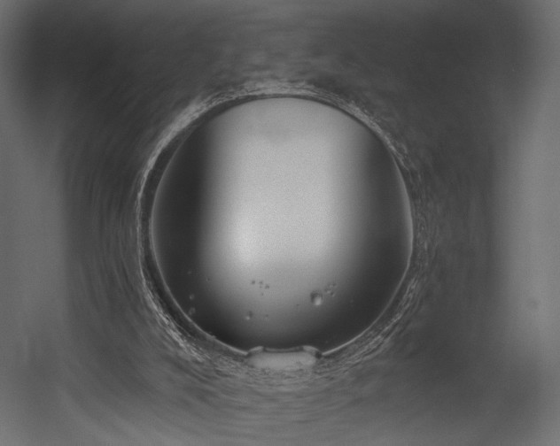 X0000054360008200508011232