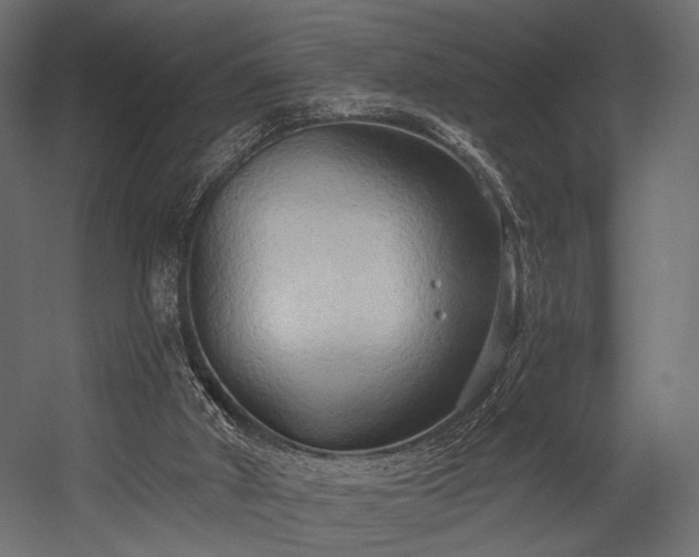 X0000054360010200508011232