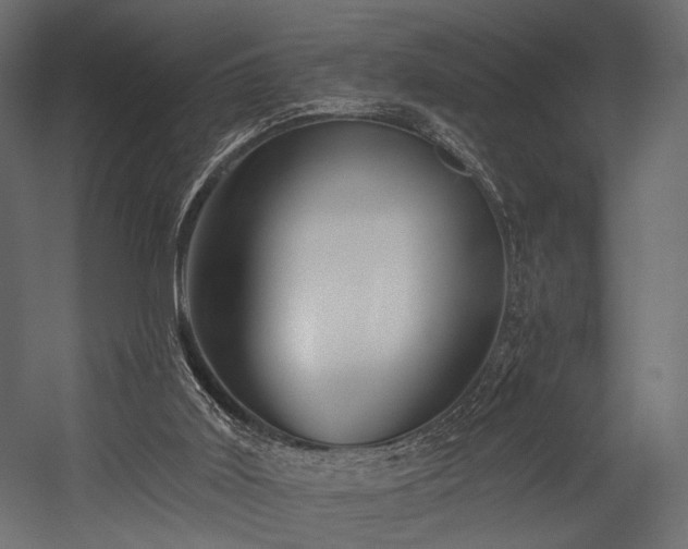 X0000054360011200508011232