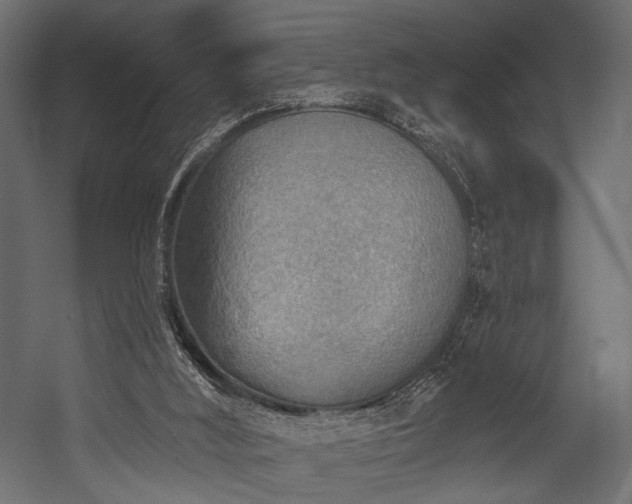 X0000054360012200508011232