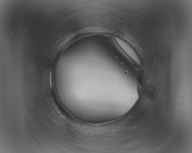 X0000054360014200508011232
