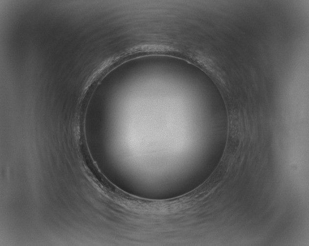 X0000054360015200508011232