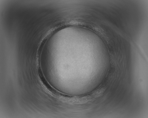 X0000054360016200508011232