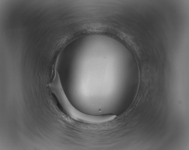 X0000054360017200508011232