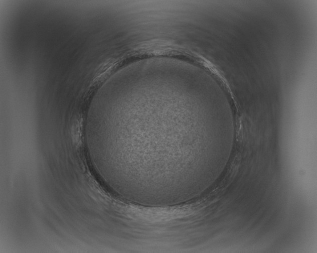 X0000054360018200508011232