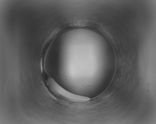 X0000054360020200508011232