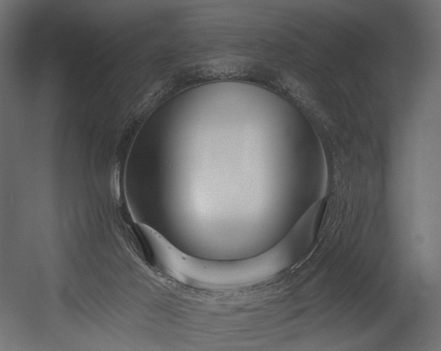 X0000054360021200508011232