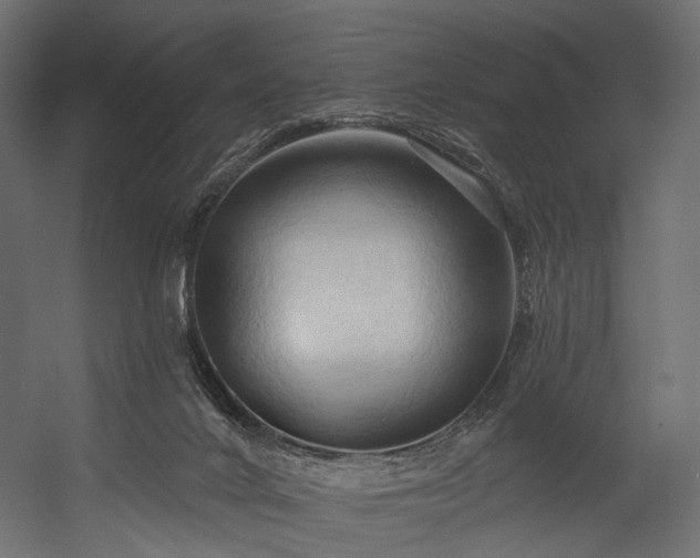 X0000054360024200508011232