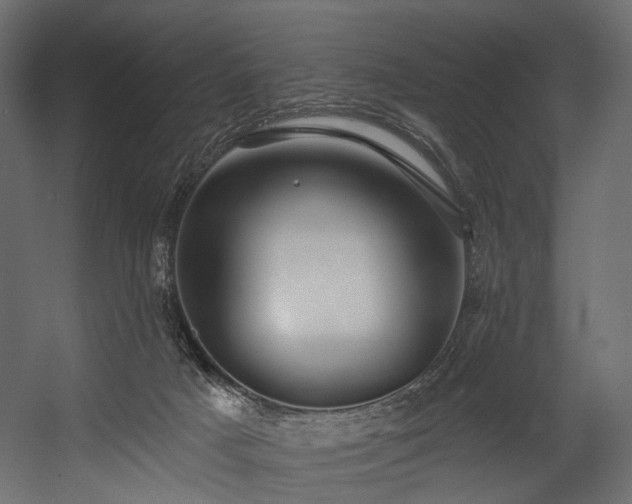 X0000054360025200508011232