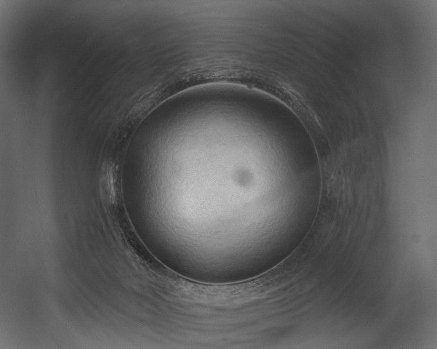 X0000054360026200508011232