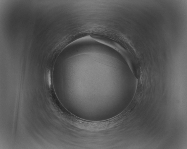X0000054360027200508011232