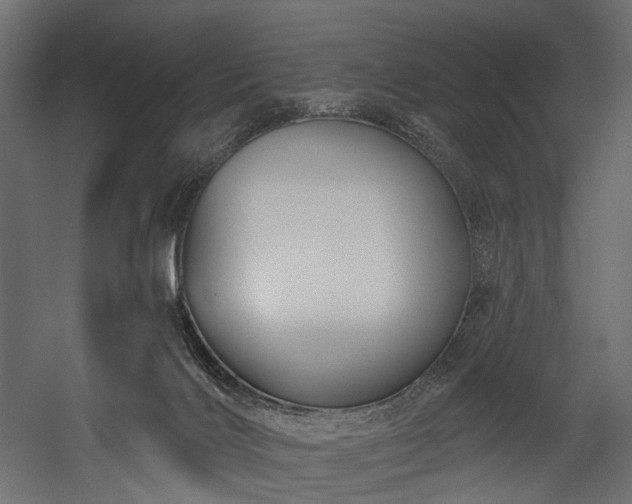 X0000054360028200508011232