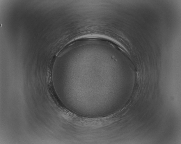 X0000054360029200508011232