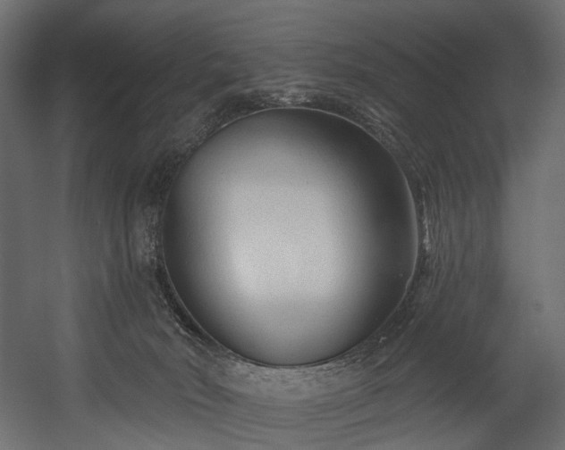 X0000054360030200508011232
