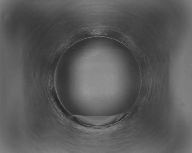 X0000054360031200508011232