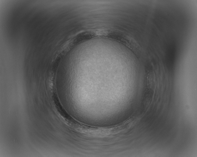 X0000054360032200508011232