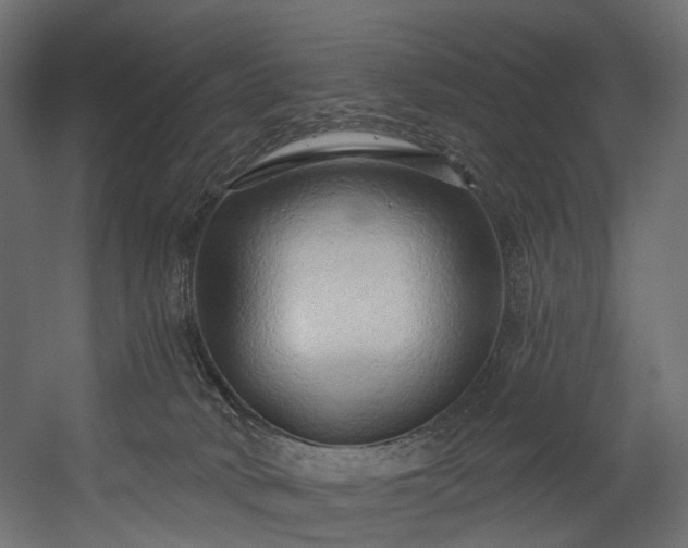 X0000054360034200508011232