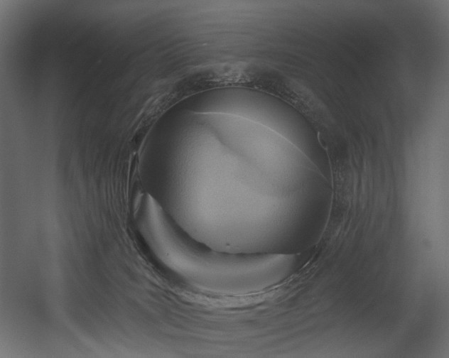 X0000054360035200508011232