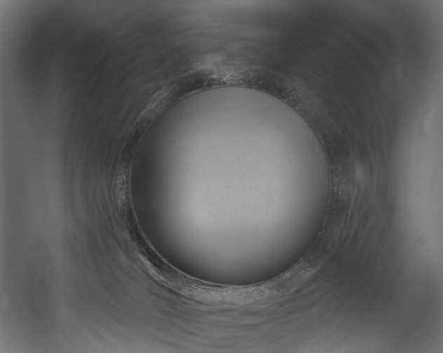 X0000054360036200508011232