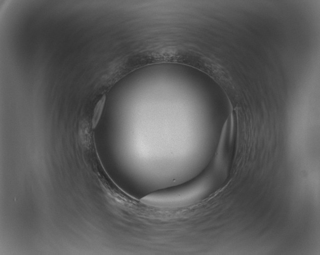 X0000054360037200508011232