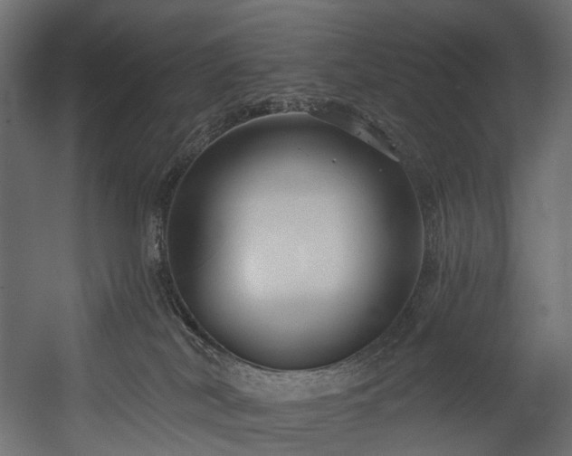 X0000054360038200508011232