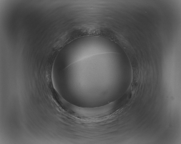 X0000054360039200508011232