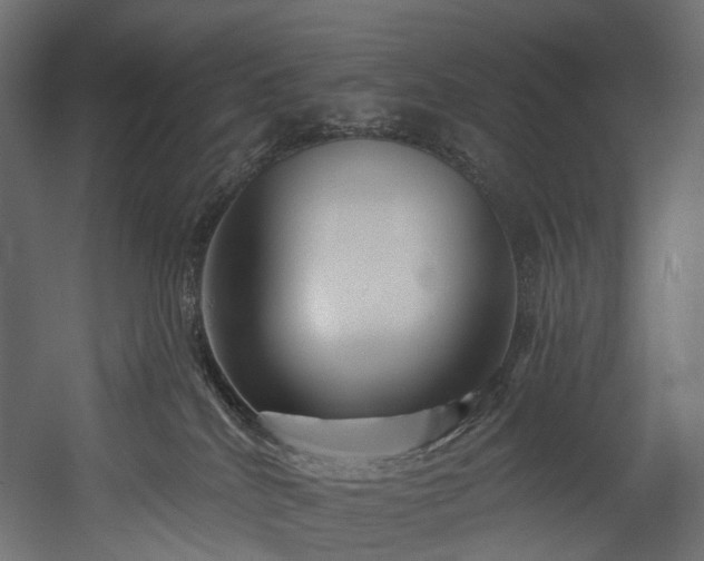 X0000054360040200508011232