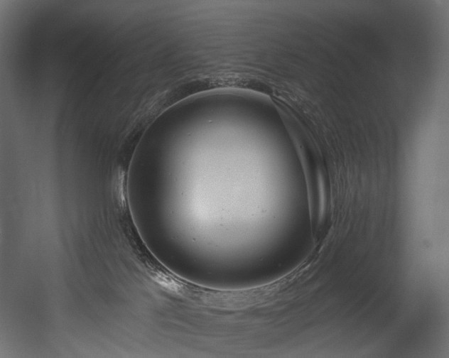 X0000054360041200508011232
