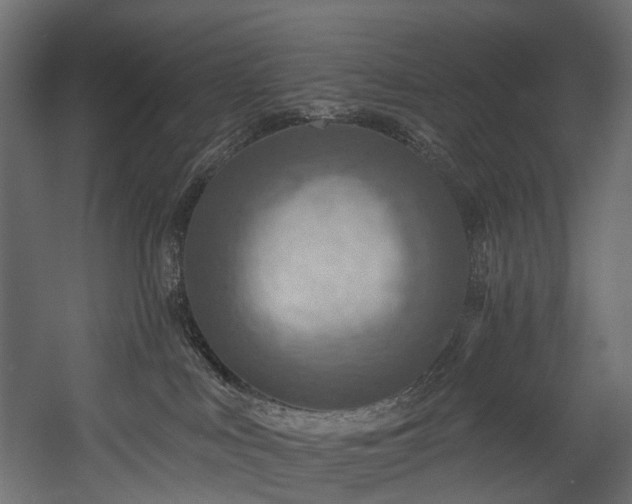 X0000054360043200508011232