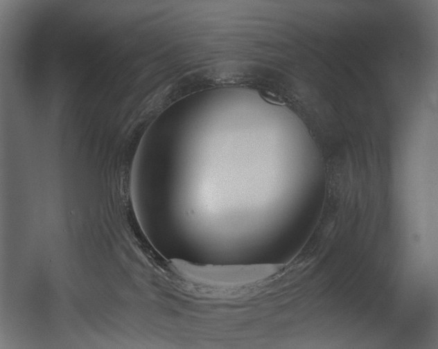 X0000054360044200508011232