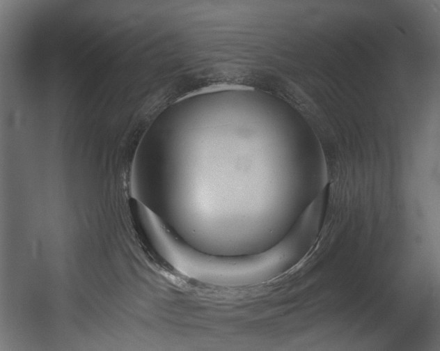X0000054360045200508011232