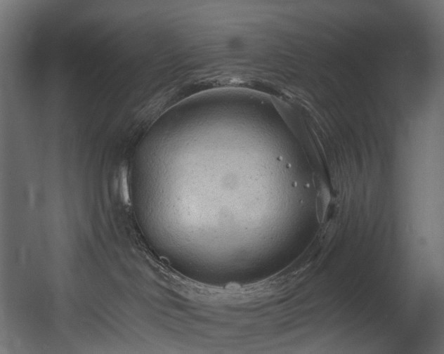 X0000054360046200508011232