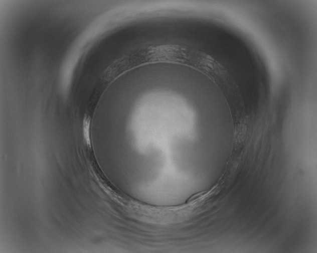 X0000054360047200508011232