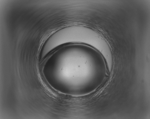 X0000054360049200508011231