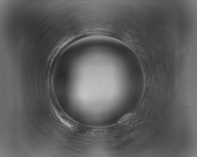 X0000054360050200508011231