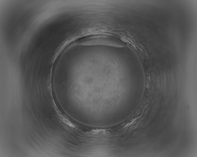 X0000054360052200508011231