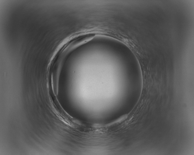 X0000054360056200508011231
