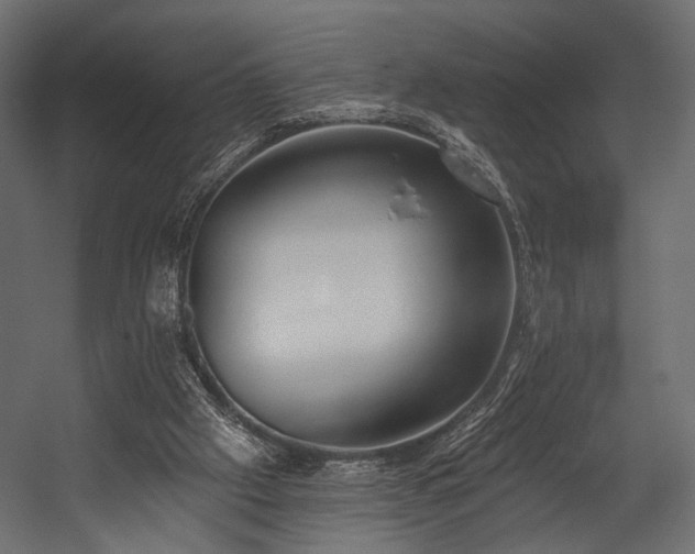 X0000054360057200508011231