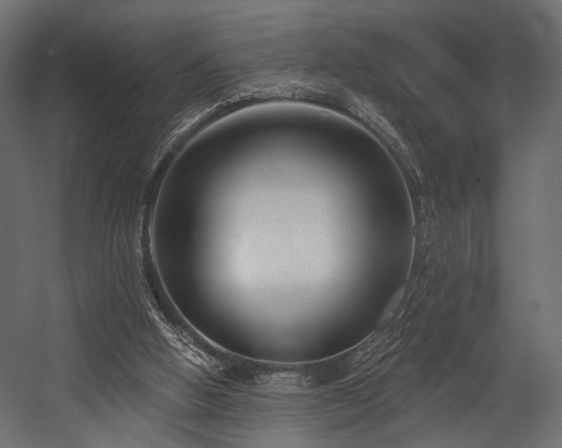 X0000054360058200508011231