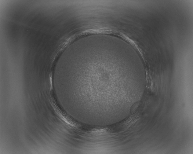 X0000054360061200508011231
