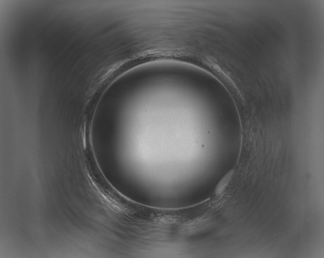 X0000054360062200508011231