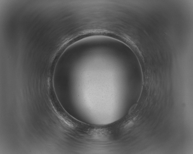 X0000054360063200508011231